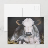 Carte Postale Récolte de jour occupée (Devant / Derrière)