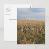 Carte Postale Récolte de maïs d'automne (Devant / Derrière)