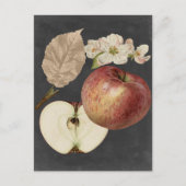 Carte Postale Récolte de minuit II (Devant)