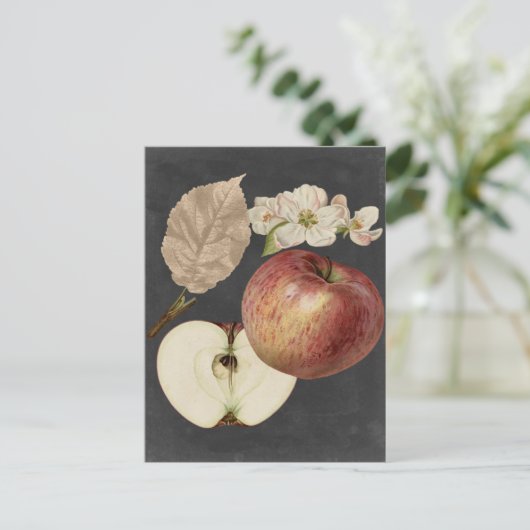 Carte Postale Récolte de minuit II (Debout devant)