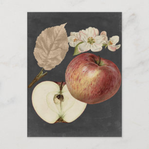 Carte Postale Récolte de minuit II