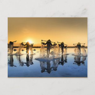 Carte Postale Récolte de sel au Vietnam