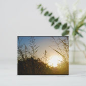 Carte Postale Récolte Soleil levant (Debout devant)