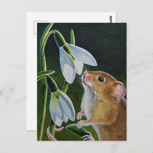 Carte Postale Récolte Souris Odeur Snowdrops Aquarelle Art Po (Devant / Derrière)