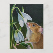 Carte Postale Récolte Souris Odeur Snowdrops Aquarelle Art Po (Devant)