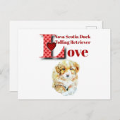 Carte Postale Récupérateur de canard de la Nouvelle-Écosse (Devant / Derrière)