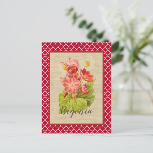 Carte Postale Red Begonia Botanical et Quatrefoil (Debout devant)