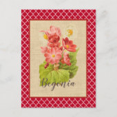 Carte Postale Red Begonia Botanical et Quatrefoil (Devant)