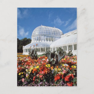 Carte Postale Red Belfast, Palm House, Jardins botaniques, Irlan