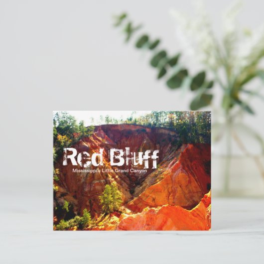 Carte Postale Red Bluff - Morgantown, MS (Debout devant)