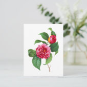 Carte Postale Red Camellia par Pierre Joseph Redoute (Debout devant)