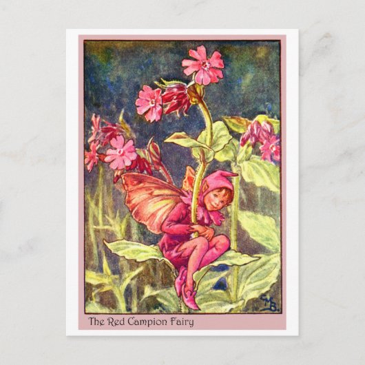 Carte Postale Red Campion Fairy (Devant)