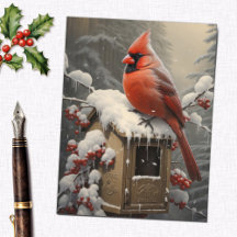 Red Cardinal Bird sur une boîte aux lettres