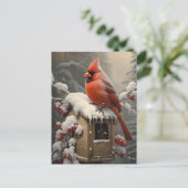 Carte Postale Red Cardinal Bird sur une boîte aux lettres (Debout devant)