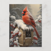 Carte Postale Red Cardinal Bird sur une boîte aux lettres (Devant)