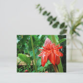 Carte Postale Red Carribean Rose Exotic Flower (Debout devant)