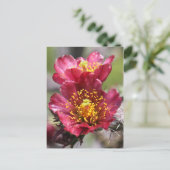 Carte postale Red Cholla Blooms (Debout devant)