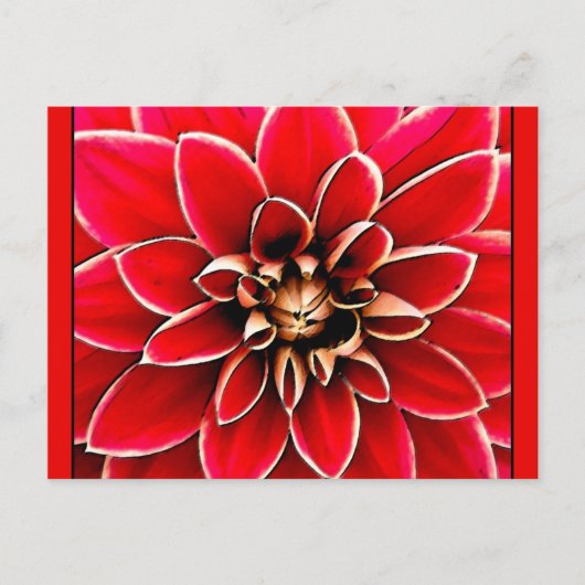 Carte Postale Red Dahlia, art numérique (Devant)