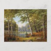 Carte Postale Red Deer par l'étang de la forêt (Devant)