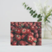 Carte Postale Red Delicious Apple Crop (Debout devant)