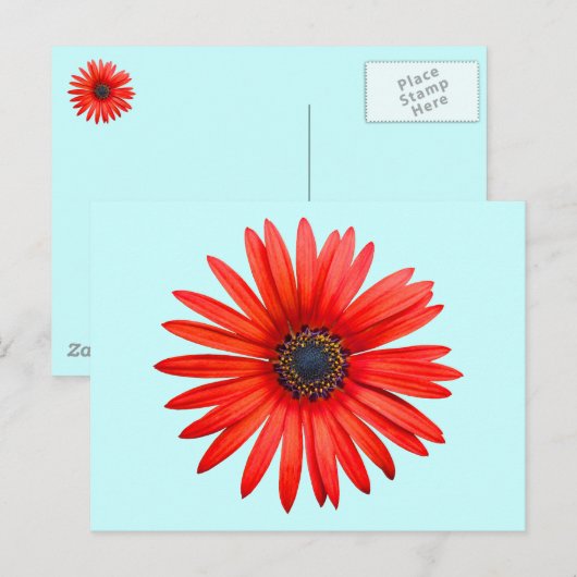 Carte Postale Red Devil (Devant / Derrière)