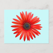 Carte Postale Red Devil (Devant)