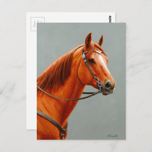 Carte Postale Red Dun Chestnut (Devant / Derrière)