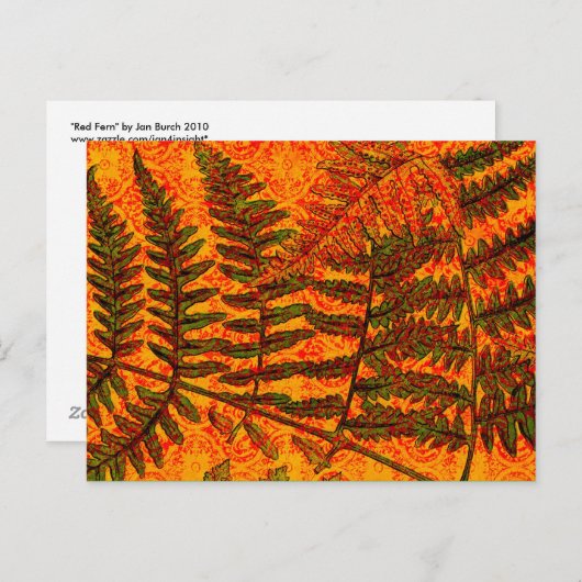 Carte postale Red Fern (Devant / Derrière)