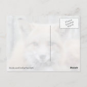 Carte postale Red Fox (Dos)