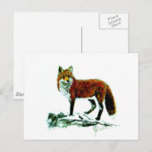 Carte postale Red Fox (Devant / Derrière)