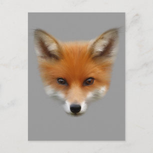 Carte postale Red Fox Cub