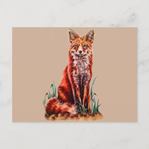 Carte Postale Red Fox Dessin Animal Art Crayon Sketch Foxy
