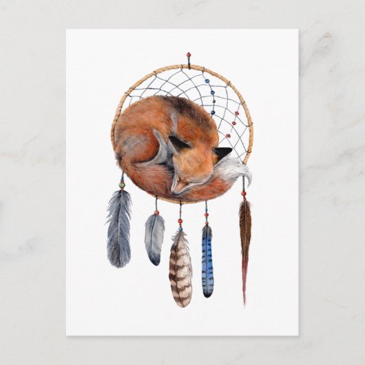 Carte Postale Red Fox dormant sur Dreamcatcher (Devant)