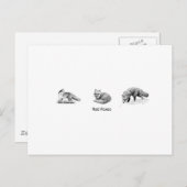Carte Postale Red Fox Line Art (titre) (Devant / Derrière)
