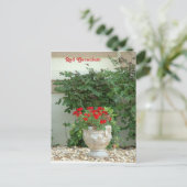 Carte postale Red Geranium (Debout devant)