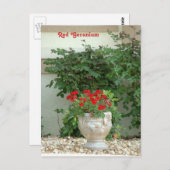 Carte postale Red Geranium (Devant / Derrière)