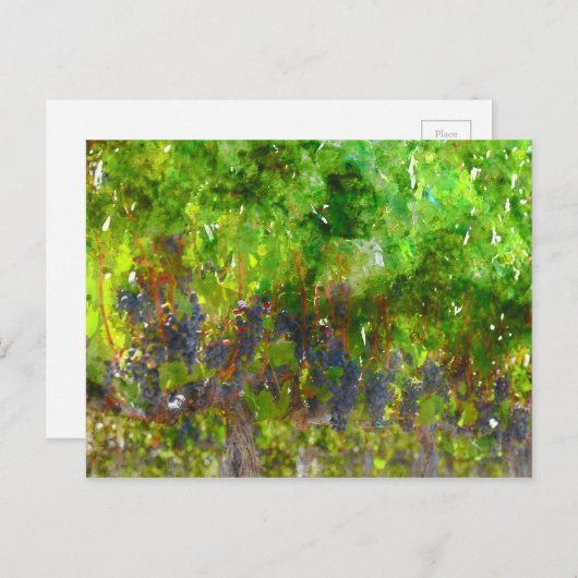 Carte Postale Red Grapes (Devant / Derrière)