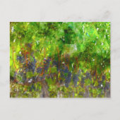 Carte Postale Red Grapes (Devant)