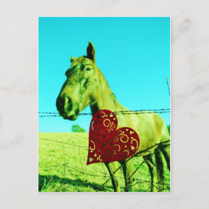 Carte Postale Red Heart and Horse