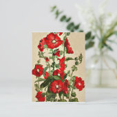 Carte Postale Red Hollyhocks (Debout devant)