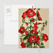 Carte Postale Red Hollyhocks (Devant / Derrière)