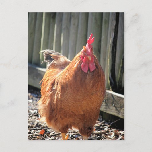 Carte Postale Red Jigsaw (Devant)