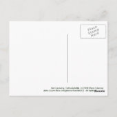 Carte Postale Red Lacewing (Dos)