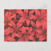 Carte postale Red Lilies (Devant)