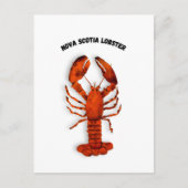 Carte Postale Red Lobster Postcard (Devant)