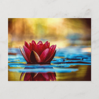 Carte Postale Red Lotus Water Lily Flower