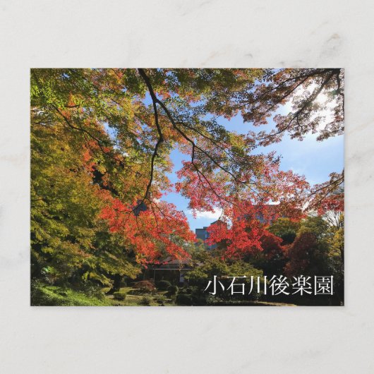Carte Postale Red Maples au Jardin Japonais (Devant)