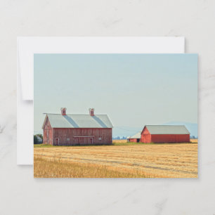 Carte Postale Red Montana Barns
