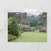 Carte Postale Red Muckross House Gardens, fleurs d'Irlande (Devant / Derrière)