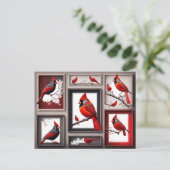 Carte postale Red Northern Cardinal Bird (Debout devant)